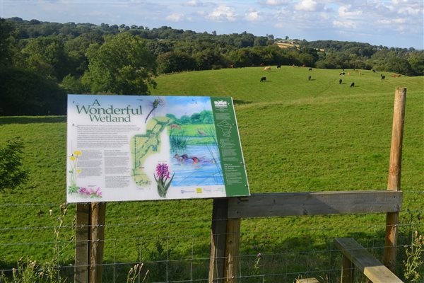 Map and explanation of our SSSI site - preserved wetlands
